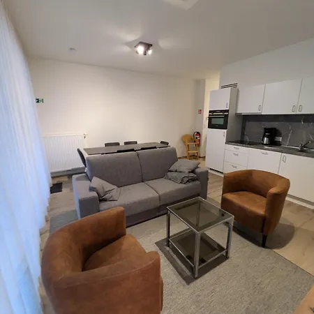 公寓 New Modern In The Heart Of T73 奥斯滕德