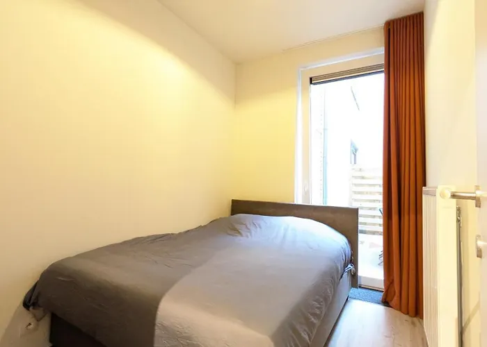 New Modern In The Heart Of T73 奥斯滕德